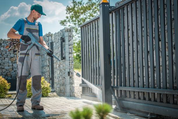 Best Graffiti Removal  in Edinburg, TX