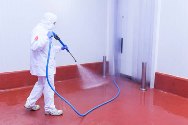 Best Winterizing Services  in Edinburg, TX